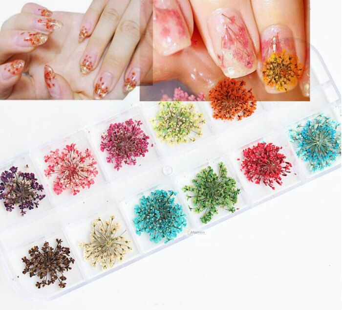 1 Box Nail Gedroogde Bloem 3d Nail Art Sticker Decal Droge Bloemen Decoratie Real Natuurlijke Bloemblaadje Tips Diy Manicure Gereedschap