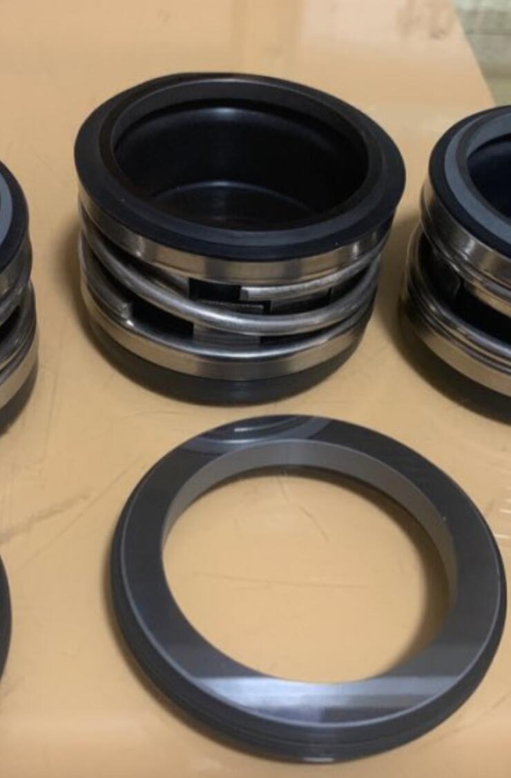 Type 2100-2-55 , 2100K-55 , 2100-55 (L3 *) elastomeer Balg Seal-J-Crane Tlanmp Mechanical Seals: CA-SiC-VIT (M Seat)