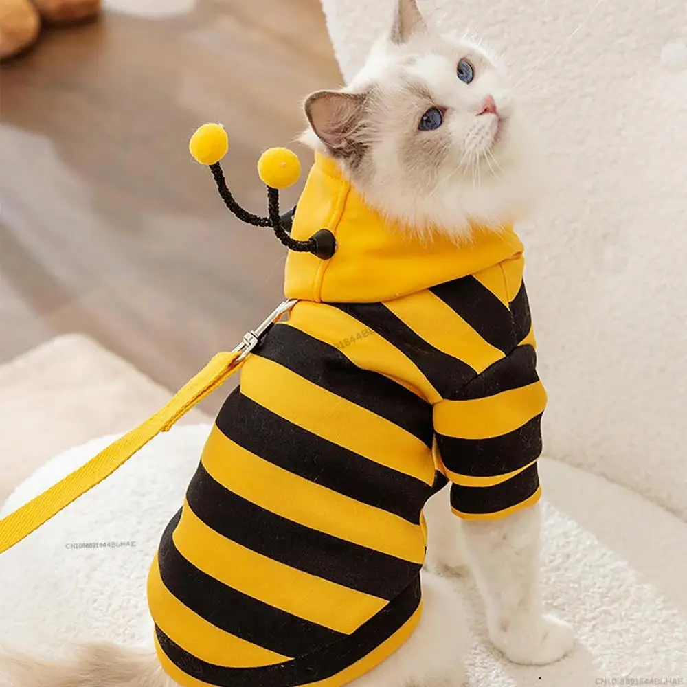 Disfraz de abeja para perro, sudaderas con capucha de Halloween para mascotas, vestido de Cosplay suave para Halloween y Navidad, ropa de Cosplay con capucha para perro, gato y cachorro: M / Rosa