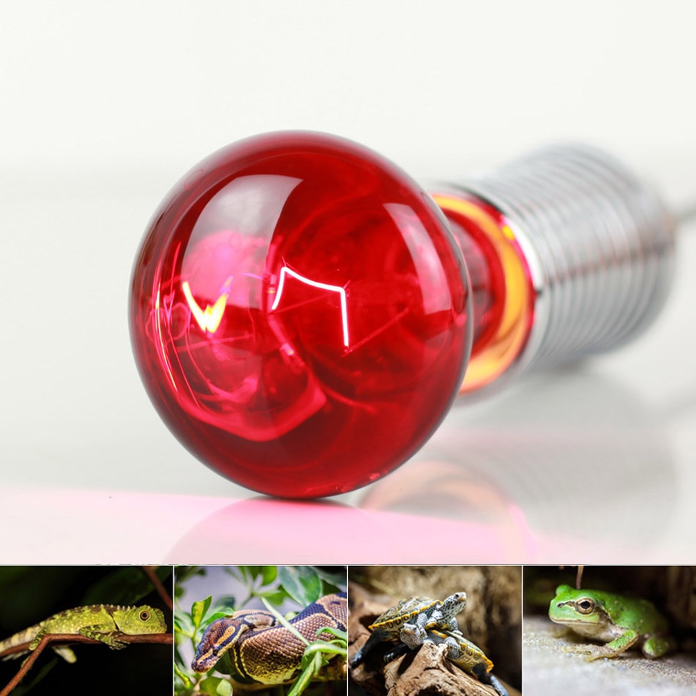 Bombilla calefactora infrarroja R63 para Tortuga, lagarto, reptil, serpiente, mascota, controlador de temperatura de 220-240V, 40W, 60W