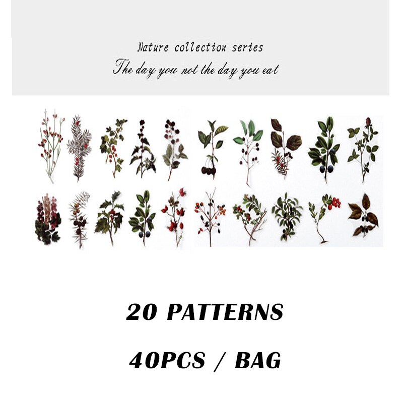 Lote de 12 unidades de pequeñas plantas frescas de la serie Coloffice Flower, pegatinas decorativas con forma especial para artículos de papelería, 1 unidad: Fruit