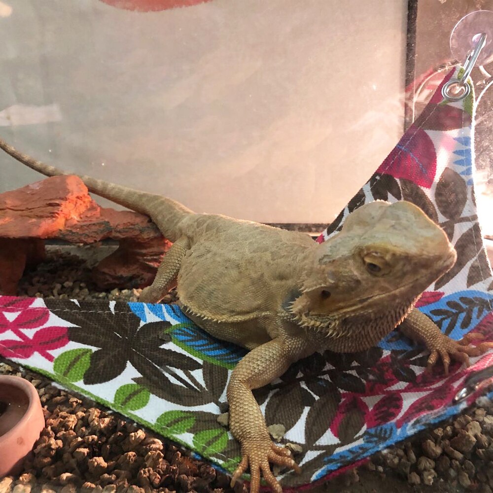 Hamaca para mascotas reptiles serpiente, lagarto cama colgante jaulas para mascotas cama suministros para reptiles para reptil serpiente lagarto subir cama para dormir jugar juguete
