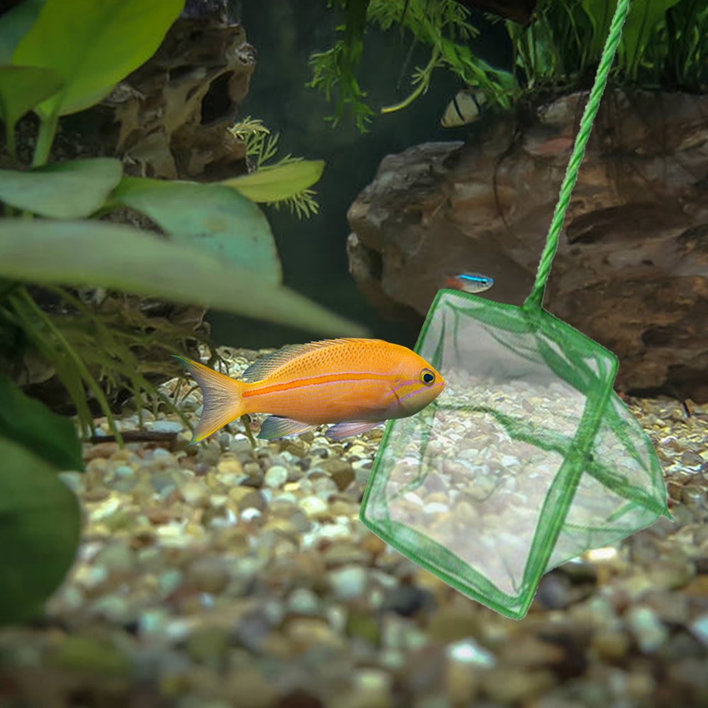 Mini Adjustable Fish Tank Catch Net Stainless Steel Shrimp Scoop Fish Scoop Round Square Pocket Shrimp Catching Nets