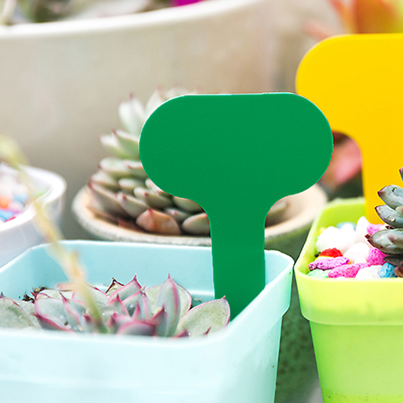 100Pcs T-Type Plant Markers Kleurrijke Pvc Plant Tags Tuin Kwekerij Label Plant Tags Waterdicht Tuinieren Tags Kas markers