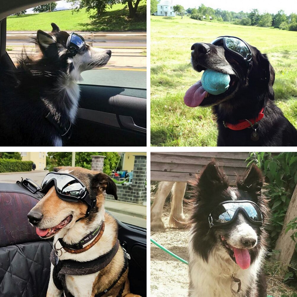 Dog Goggle Doggle Protective Eyewear Sunglasses Waterproof UV Wind Resistant Dog Sunglasses