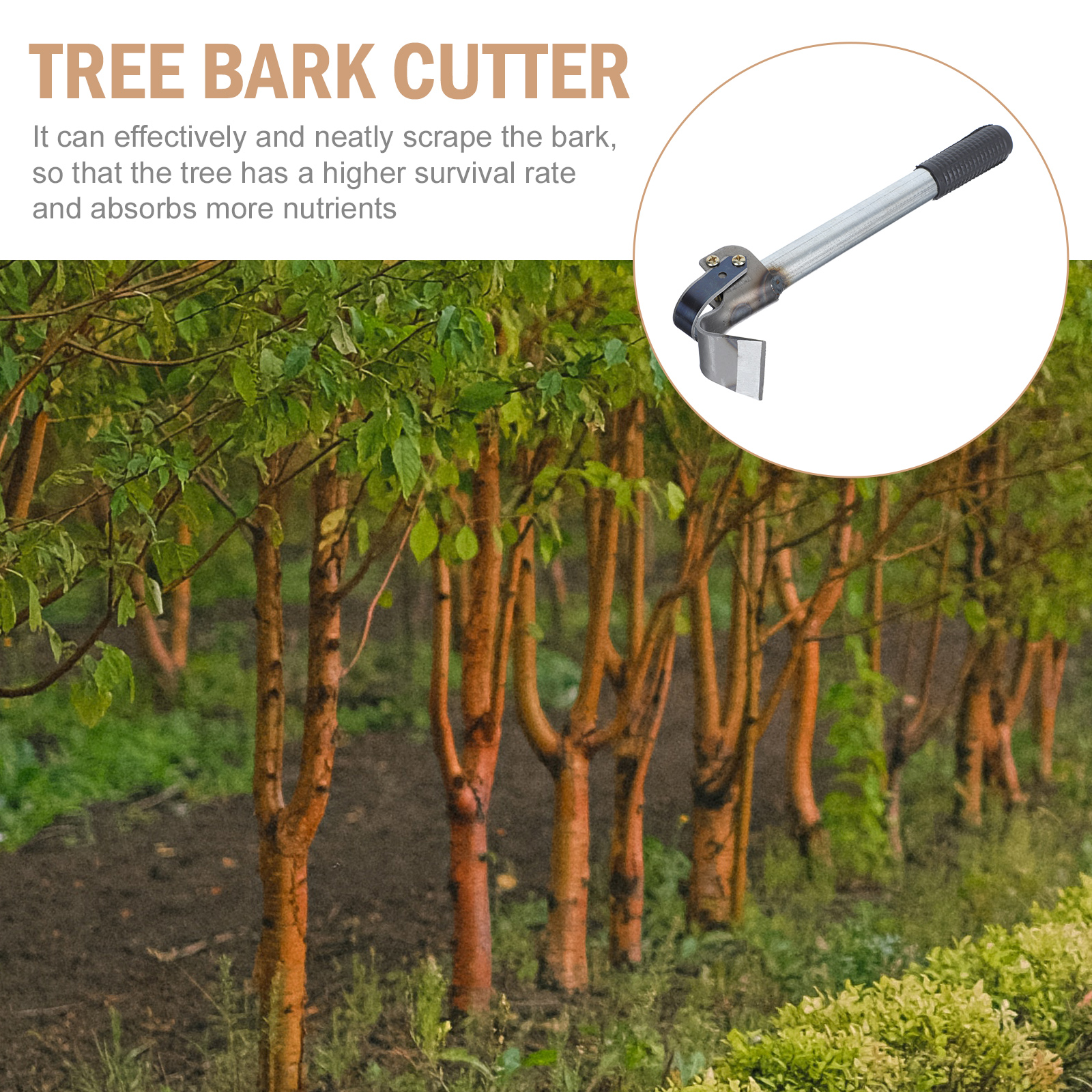Tool Boomschors Schraper Debarking Dunschiller Fruit Log Hand Scheren Tuin Houtbewerking Toolsscarping Verwijdering Takken Tuinieren
