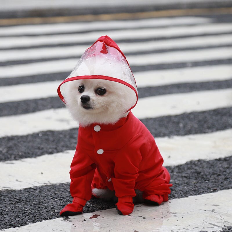 Dog Raincoat Pet Clothes Small Dog Waterproof Jumpsuit Overalls Clothing Jacket Yorkshire Poodle Pomeranian Puppy Rain Dog Coat: Red / M
