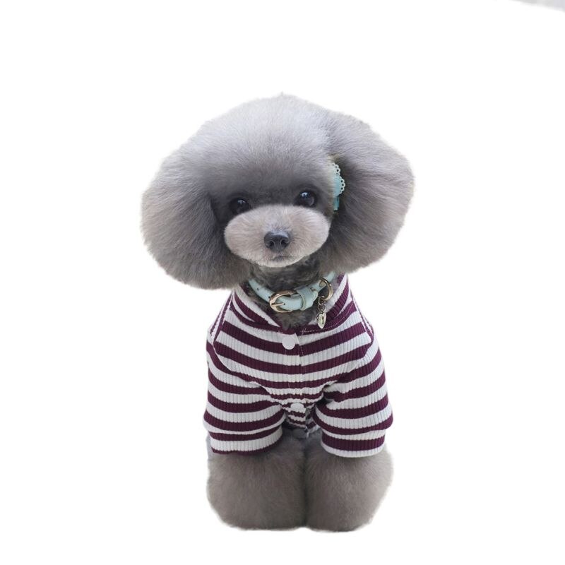 Nyeste kat stribe hyggelige bukser stilfuldt tøj små hunde kæledyrsudstyr s-xxl: Lilla / L