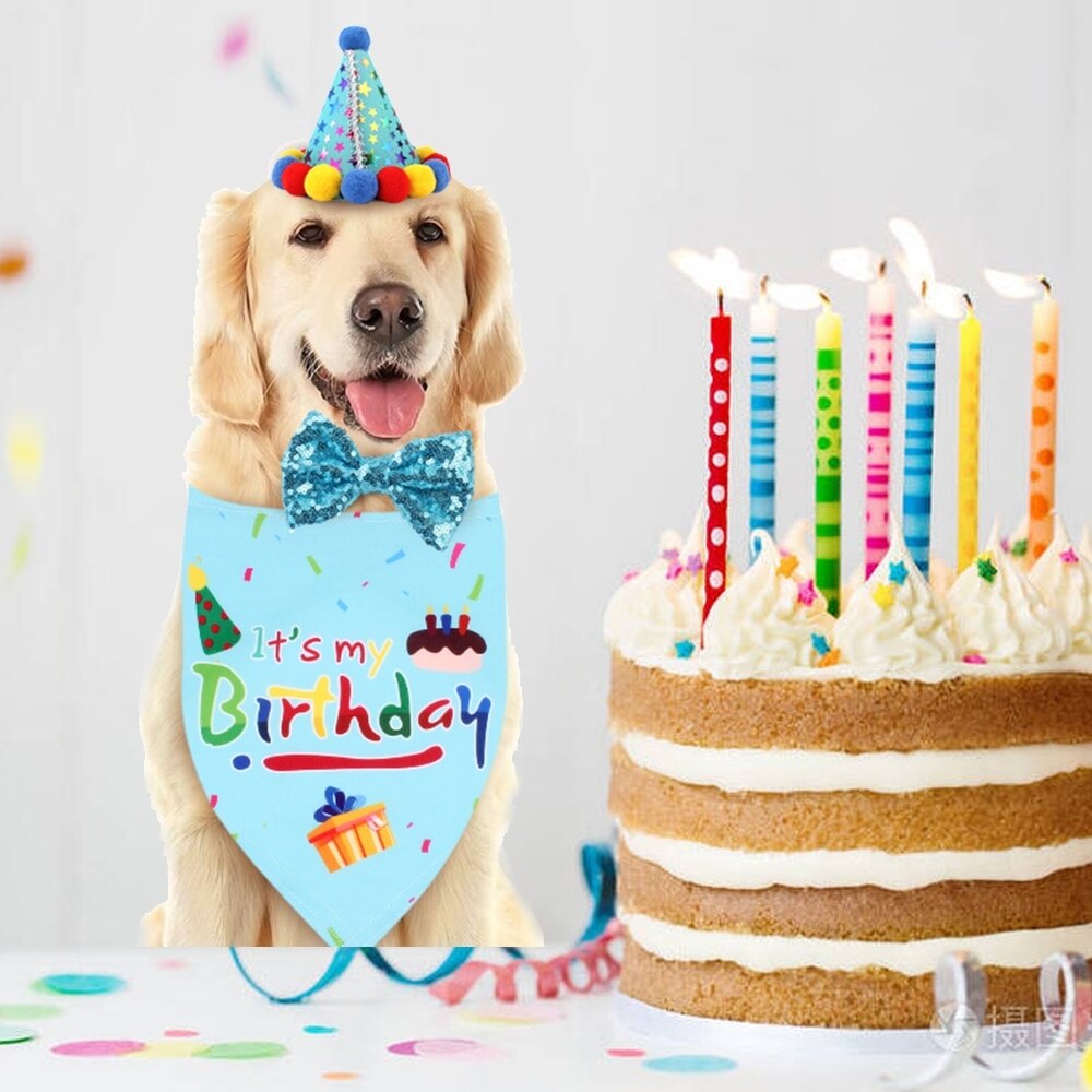 3 stk hund katt kjæledyr bursdag dekorasjonssett hund bursdag bandana skjerf bursdagsfest lue halsbånd morsom søt jul