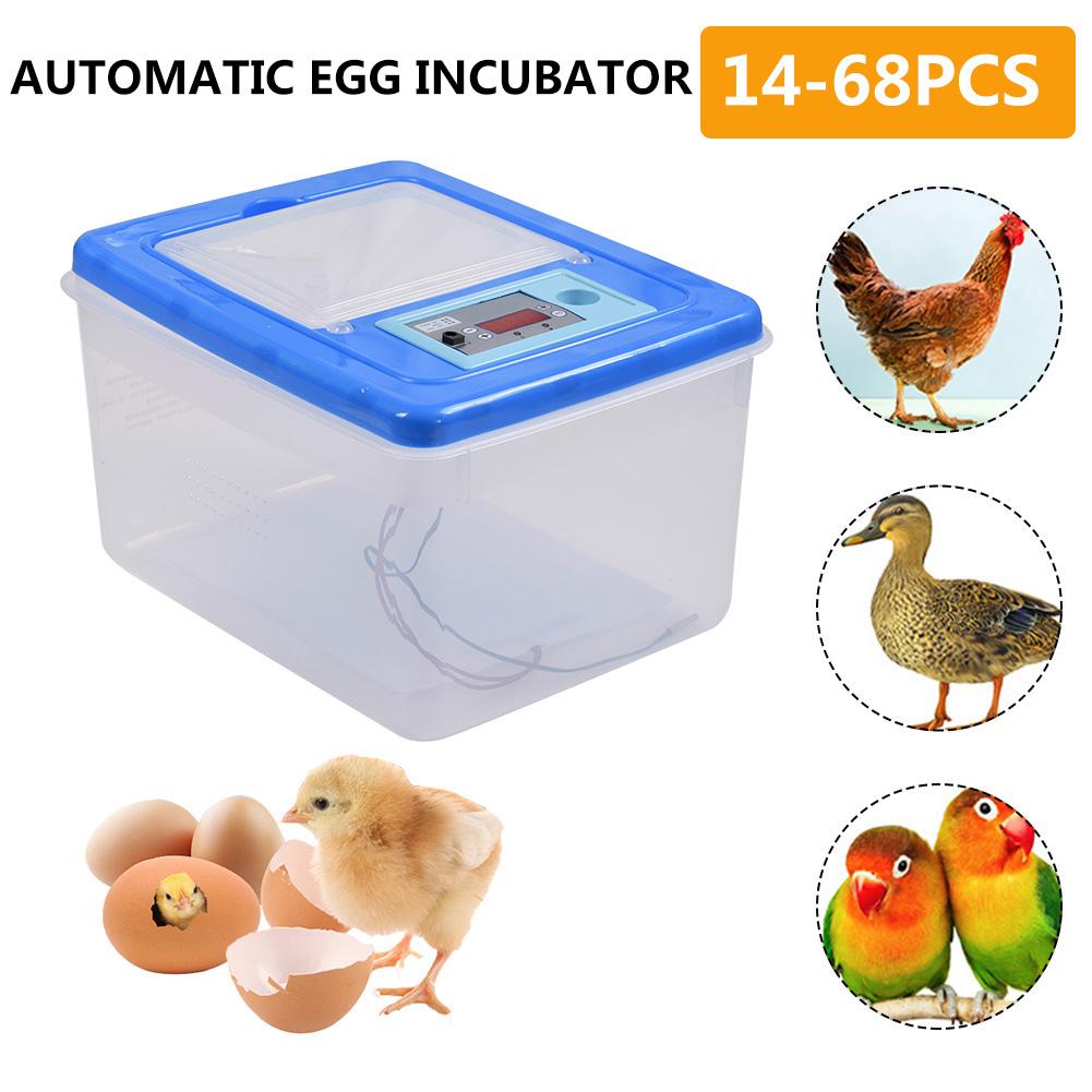 30-34pcs Eggs Automatic Egg Incubator Temperature Control Highly Transparent Egg Breeding Device For Home Use