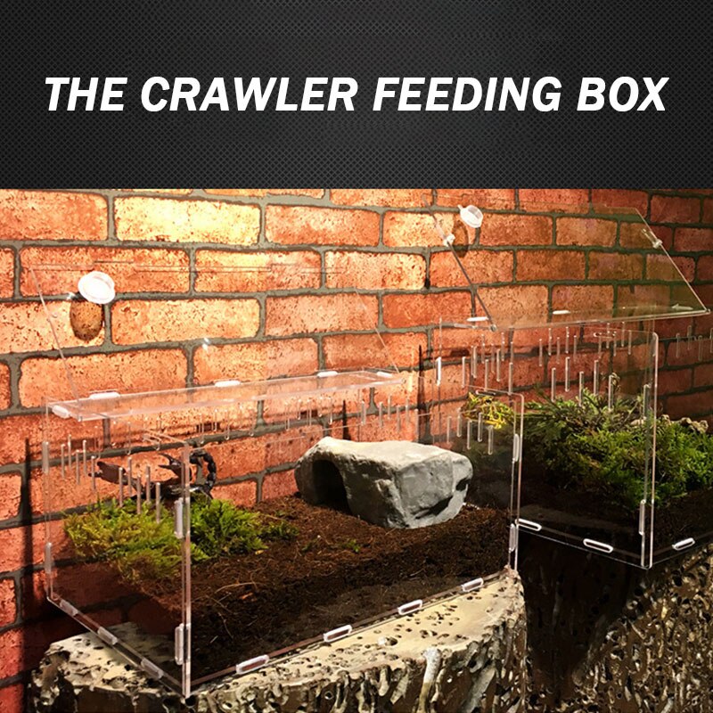 Transparent Pet Box Portable Reptile Pets Reptile Terrarium Durable Reptile Box Insect Dorpshipping