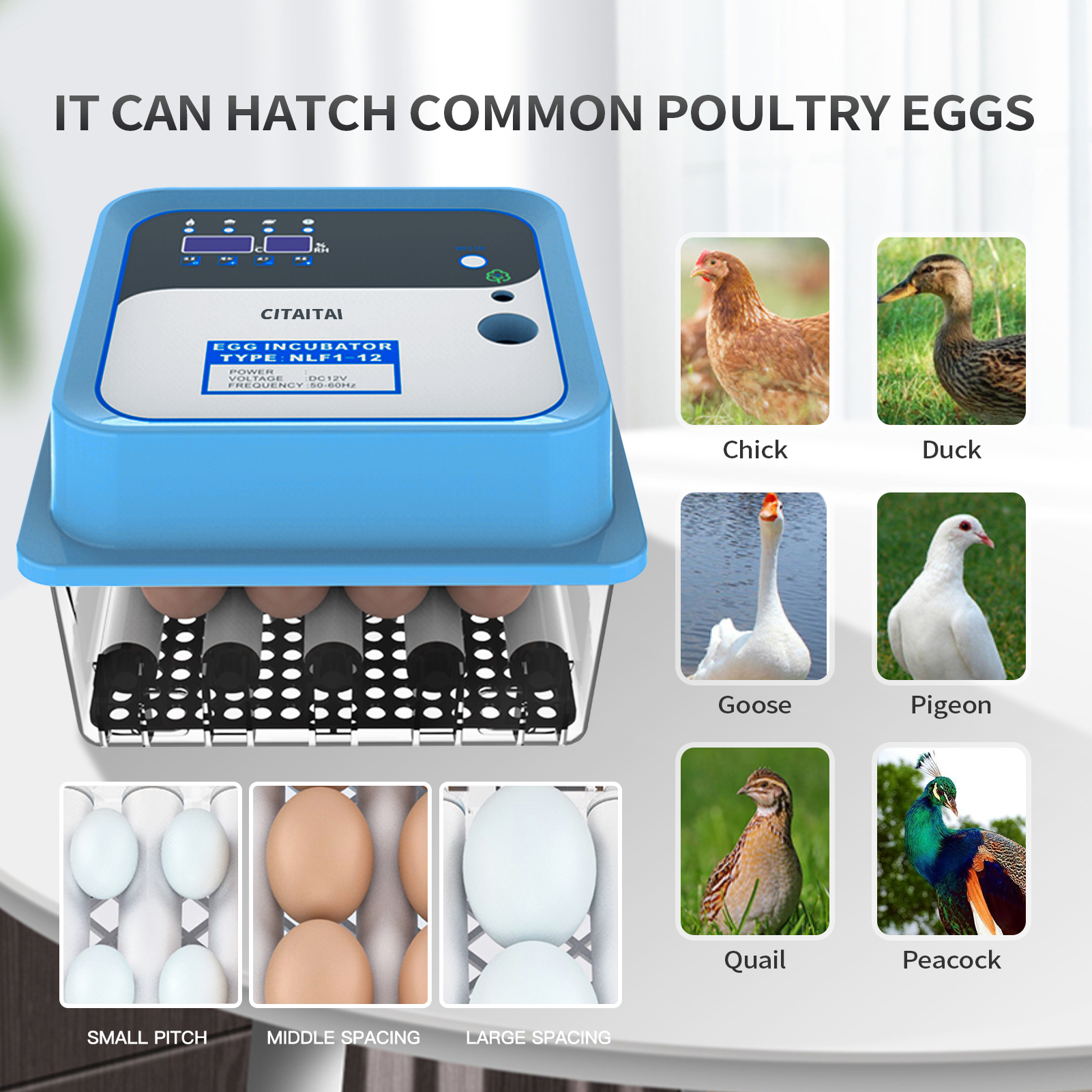 Egg Incubator Fully Automatic Incubator Household Brooder Farm Chicken Bird 12 Eggs Animal Supplies Hatching Machine Poultry