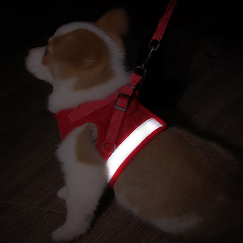 Harnais réfléchissant pour chiens | Harnais et laisse pour animaux de compagnie en mailles, Set de harnais pour petits chiens, Chihuahua Corgi, chaîne pour chiens, szelki dla psa