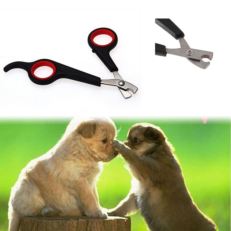 Nagelknipper voor huisdieren, roestvrij staal, trimschaar, tondeuse voor dieren, katten, honden *: Default Title