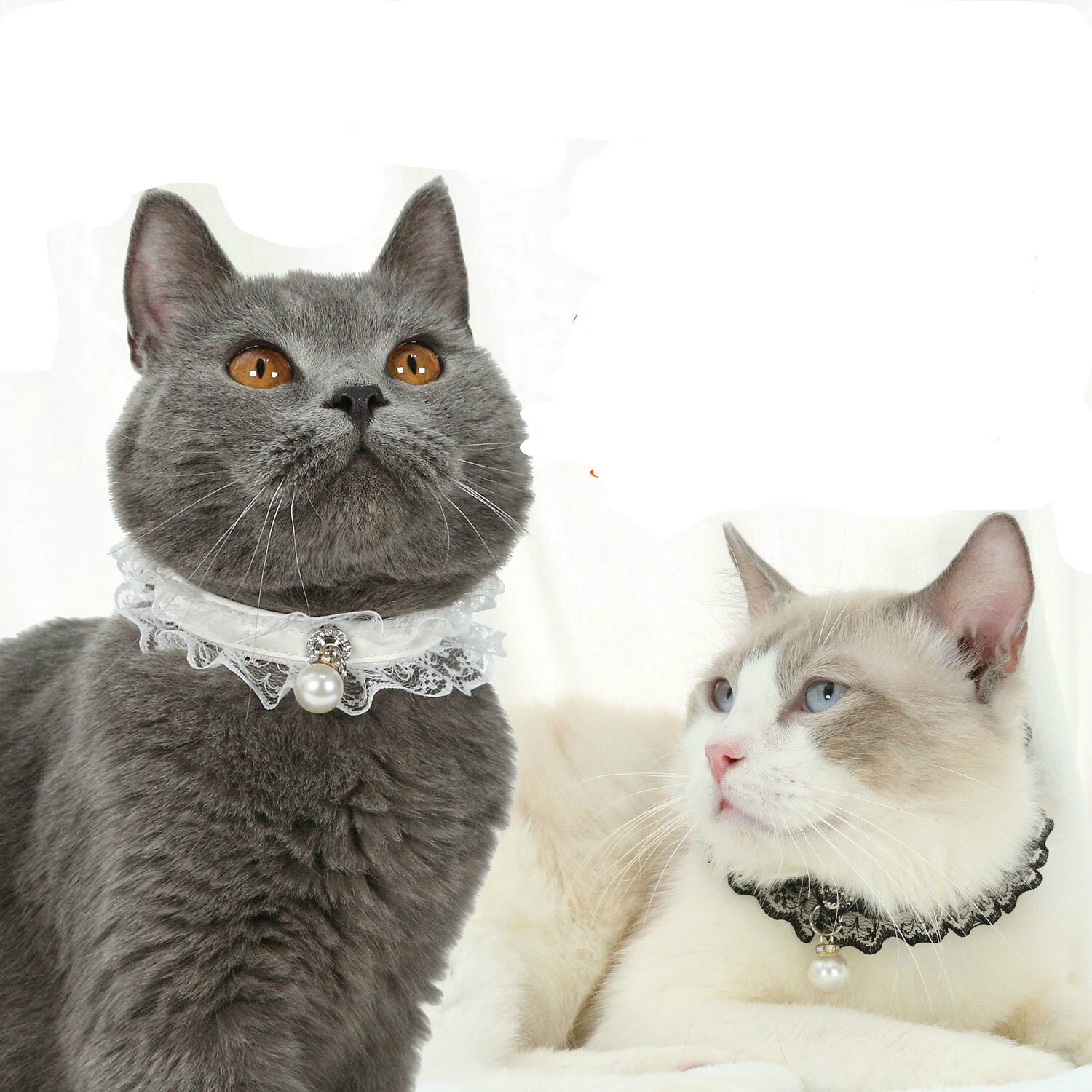 Cat Collar Cats Products for Pets Pet Cat Bell Black and White Lace Wedding Dress Princess Style Dog Collar Pet Supplies