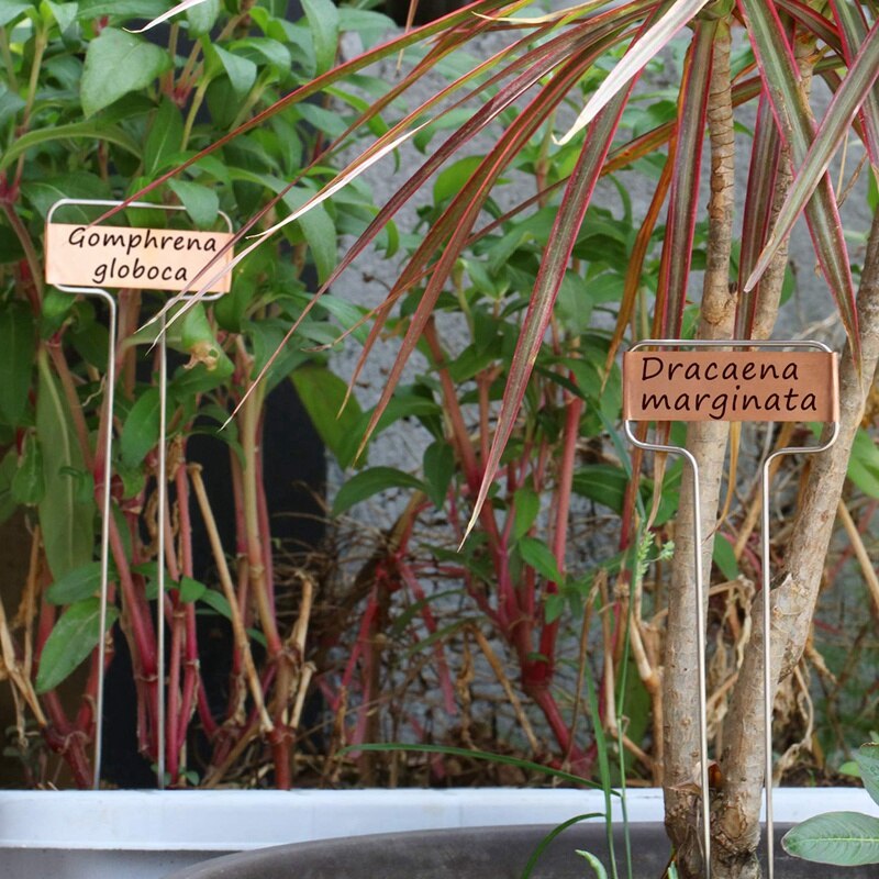 40 bitar av växtetiketter i metall 10 tum växtetiketter i kopparväxt