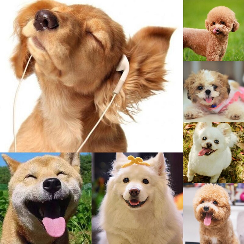 Translucent Pet Dogs Cats Collar Circle Anti Bite Pet Feeding Medicine Beauty Healing Brace Cover Pet Accessories