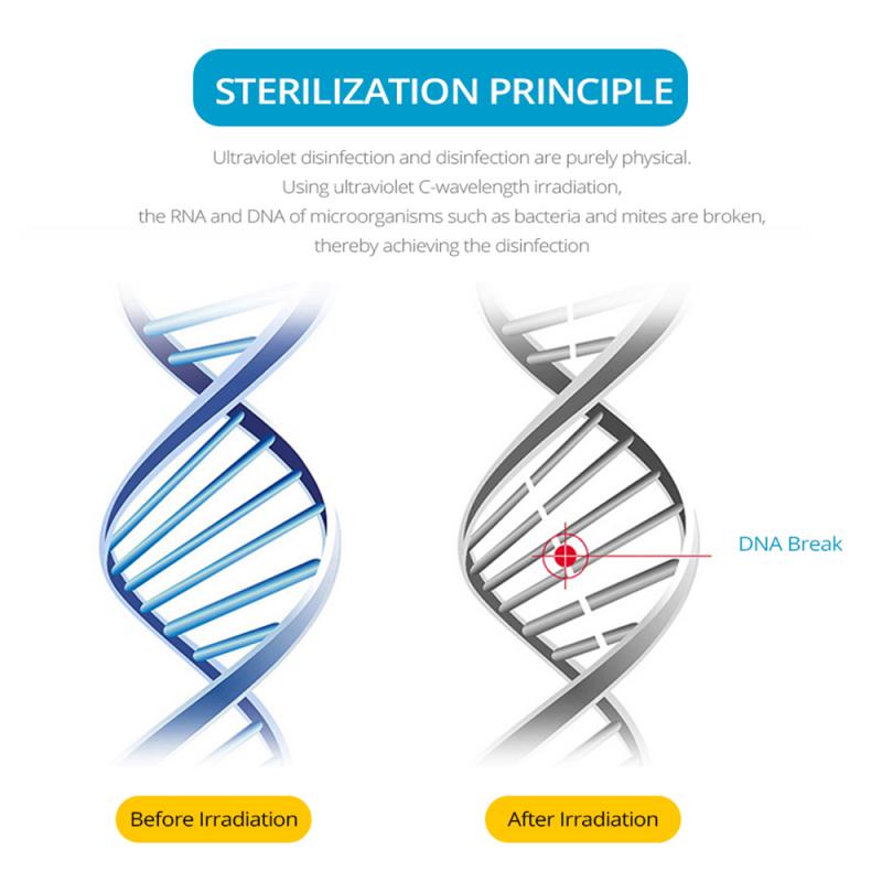 E27 UV Desinfection Lamp E14 LED Sterilizer Lamp MR16 LED UVC Germicidal Bulb GU10 Ultraviolet Light 60 80leds Amuchina B22