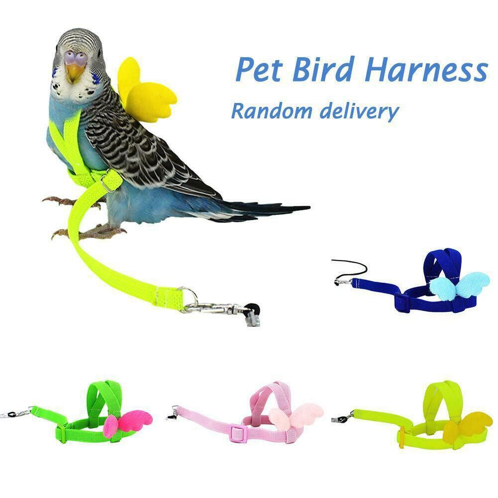 Papegaaien, trekkoorden, harnassen, riemriemen voor buitentraining, vliegende winkel: Default Title