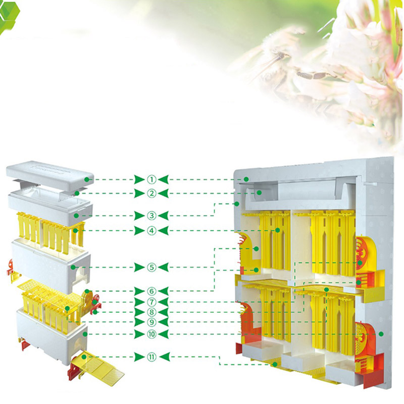 Bee Hive Beekeeping King Box Multi-Functional Queen Bee Hive Plastic Foam Material Double Box Queen Rearing Beehive Beekeepi