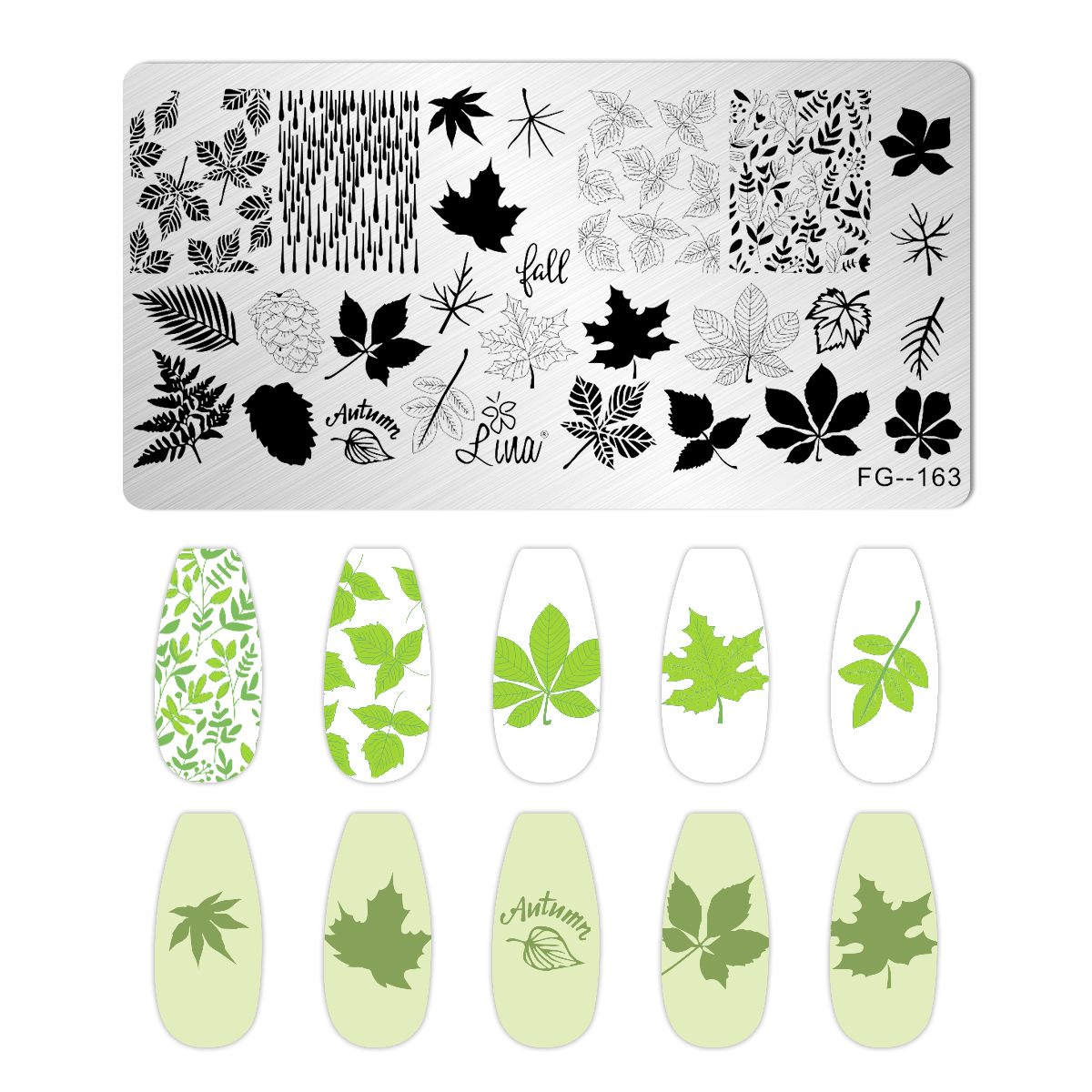 Blätter Blume Streifen Gänseblümchen Stempelplatten Lotus Rose Nagelstempel Vorlagen Aprikosen Blumendruck Schablonen Vorlagen