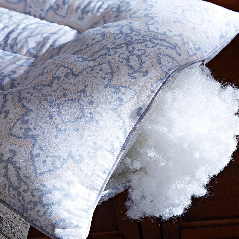 Orthopedic pillow Cassia Seed Filling Printed Magnetic Therapy Neck Pillow for Cervical Health Care Sleep Bed Pillows 1Pc