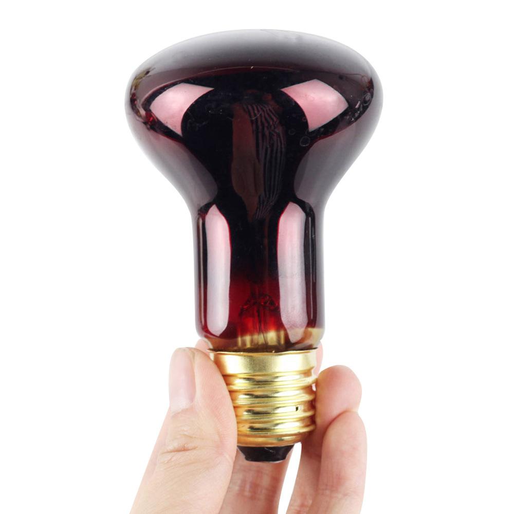 60w e27 husdjur värmelampa amfibie orm lampa värme reptil  r63 infraröd sterilisera glödlampa  ac220v