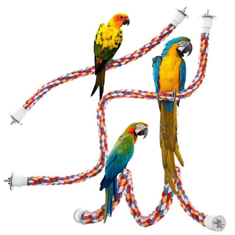 Agapornis-soga para cotorra de pájaro interactivo, accesorios de jaula, juguetes para loro, perca cómoda, Bungee Bird, juguetes de algodón