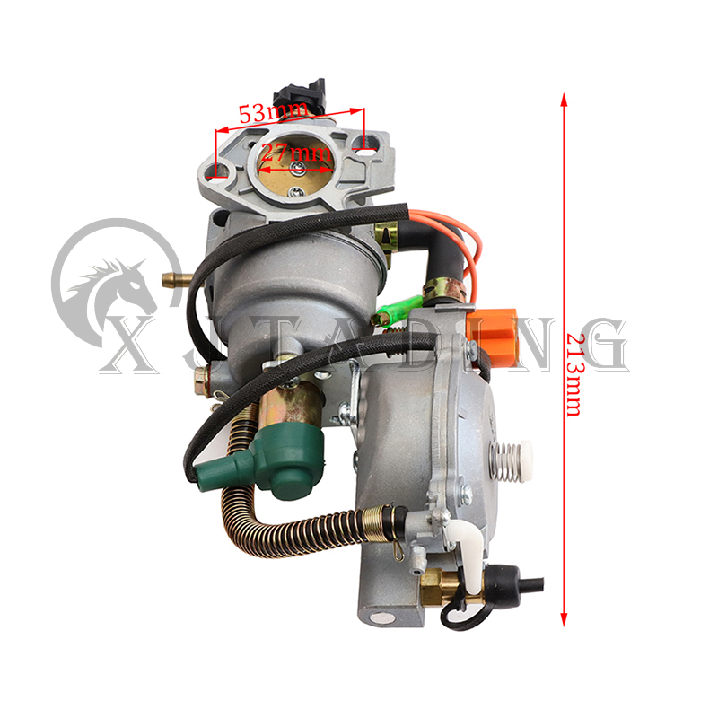 LPG Dual Fuel Carburetor CNG Conversion Kit Fit fo... – Grandado