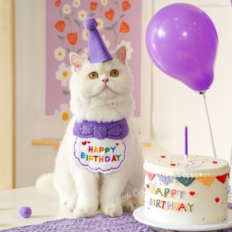 Chapéu de aniversário de gato e babador com bandana ajustável, Roupa doce do aniversário do animal de estimação, Cachecol de gatos