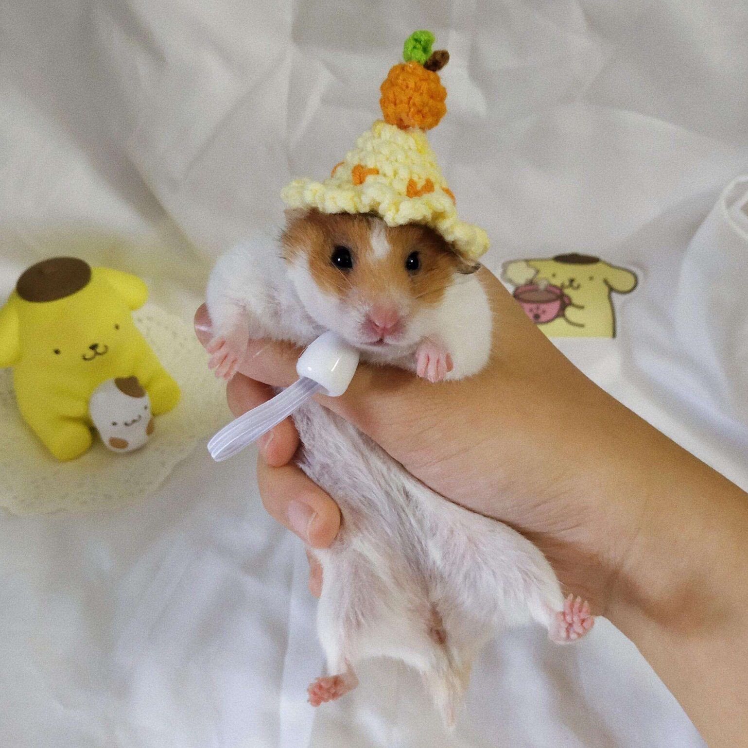 Hand Crocheted Hamster Hat Hamster Accessories Chipmunk Dwarf Rat Small Animal Hat Cute Hamster Clothes Hamster Supplies: 007