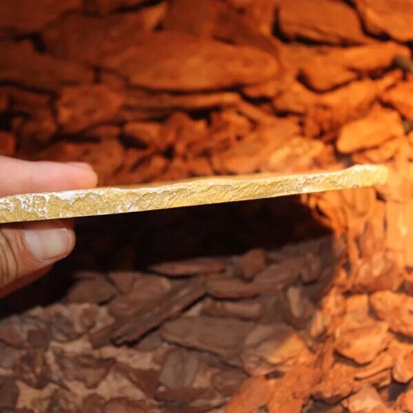 Harpiks mateskål drikkeskål terrarium reptil vivarium skilpadde gekko  # 2