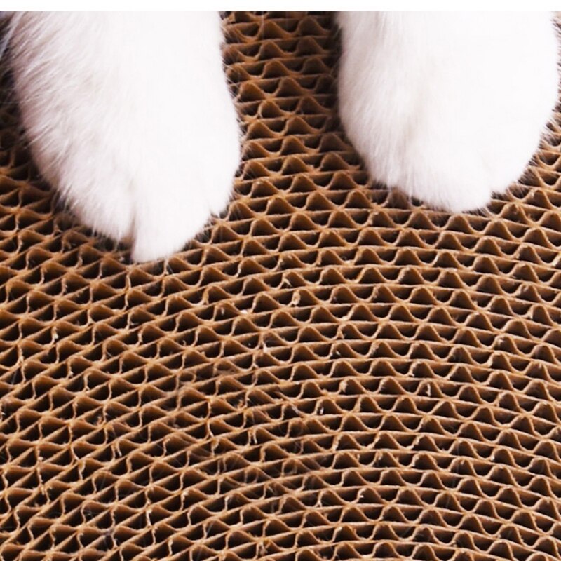 Cat Nail Scraper 2-in-1 Claws Care Grinding Nails Premium Cardboard Cat Bed and Cat Cardboard Scratcher Toy