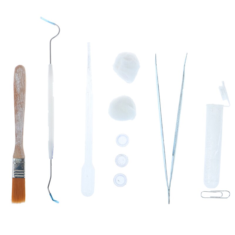 13 in 1 set Acrylic Ant Farm Tools Pet Anthill Ants House Supplies Ant Nest