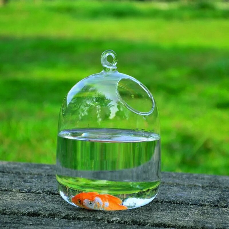 Clear 15cm Height Hanging Glass Aquarium Fish Bowl Fish Tank Flower Plant Vase with 23cm Height White Rack Fishbowls
