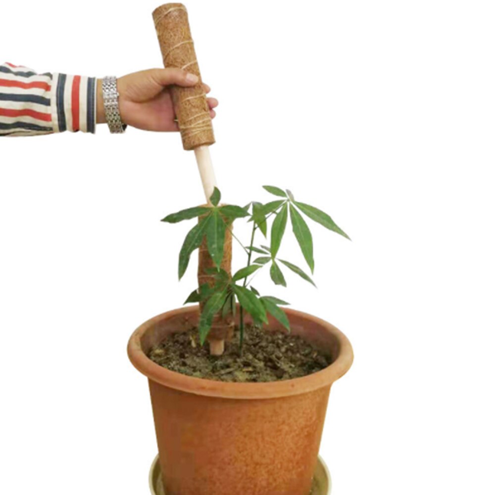 Coir Totem Pole Stretching Plant Climbing Poles,Climbing Vines Moss-Covered Plants Postscoconut Palms Help Support Plant Growth