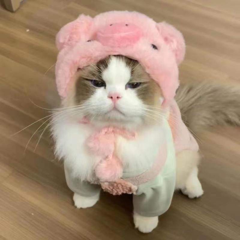 Lustiges Haustier-Stirnband, Plüschgarn, Katze, Hundekappe, Panda, Schwein, Haustier, warme Haustiermütze, KüKen, Cosplay, Zubehör, Kopfschmuck, Kostüm: Weiß
