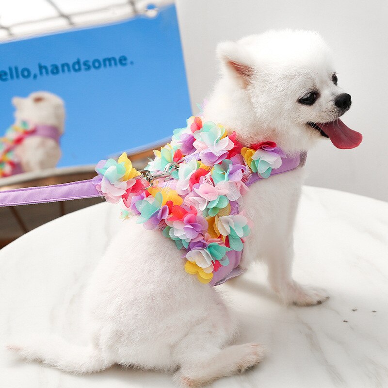 Winter Fleece Hundepullover Für Kleine Hunde – Weich, Warm & Mit Niedlichem Design, Für Chihuahua & Welpen