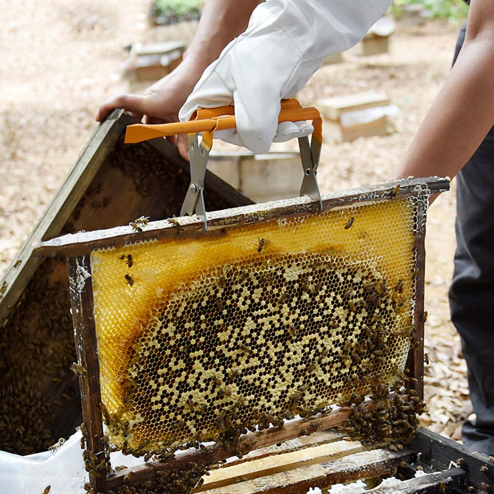 Bijenteelt Gereedschappen Drie Buis Met Schop Noemen Milt Clip Bijenkorf Honingraat Frame Honingraat Clip Multifunctionele 30P