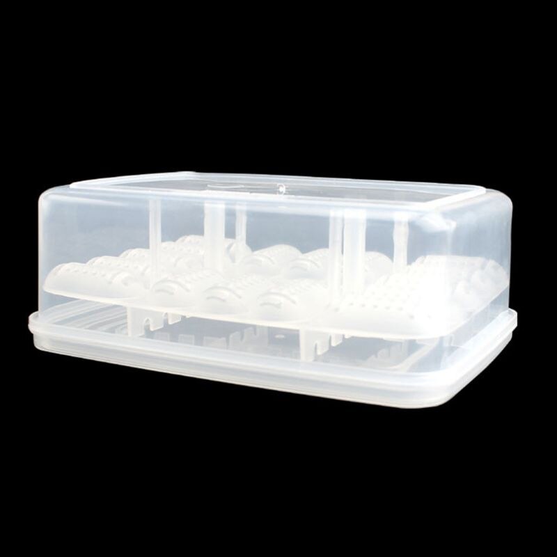 Reptile oeuf plateau serpent lézard oeuf à couver incubateur boîte Gecko dédié couveuse dispositif tortue tortue incubateur Supplie