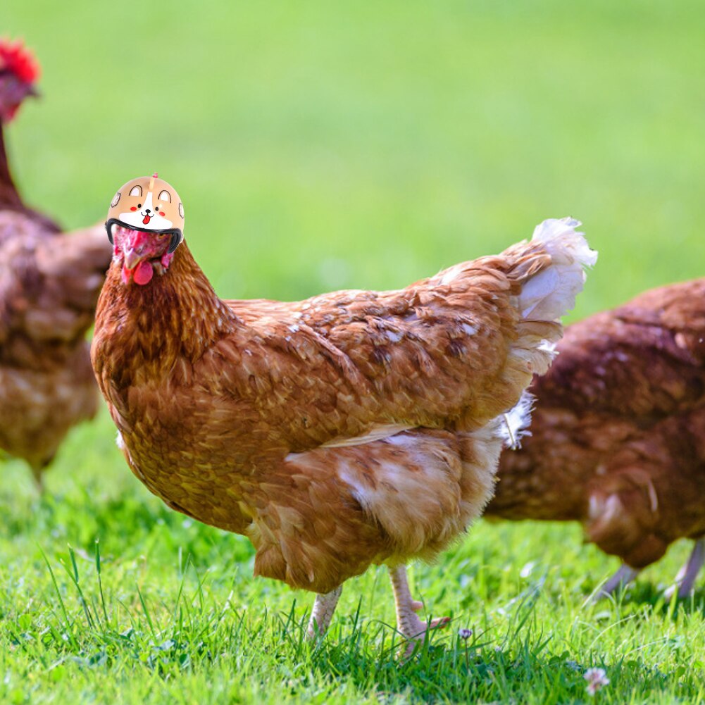 Poultry Chicken Helmet Pet Hard Hat Duck Quail Funny Chickens Hat Pet Funny Chicken Helmet Head Protection Chicken Hen Hard Hat