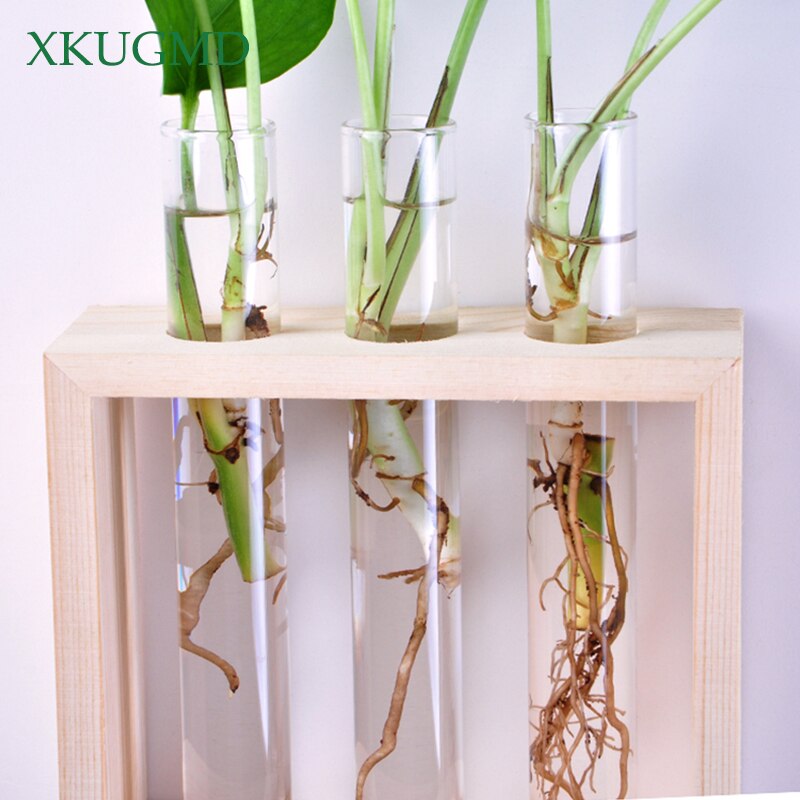 Vegghengende krystall glass reagensrør vase i tre stativ for blomster planter hjem hage kafé bar skrivebord dekorasjon blomsterpotte