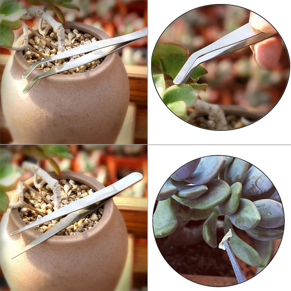 15pcs Succulent Plants Tools Set Gardening Shovel Mini Hand Transplanting Tool Potted Plants Shovel Rake Spade Bonsai Tools