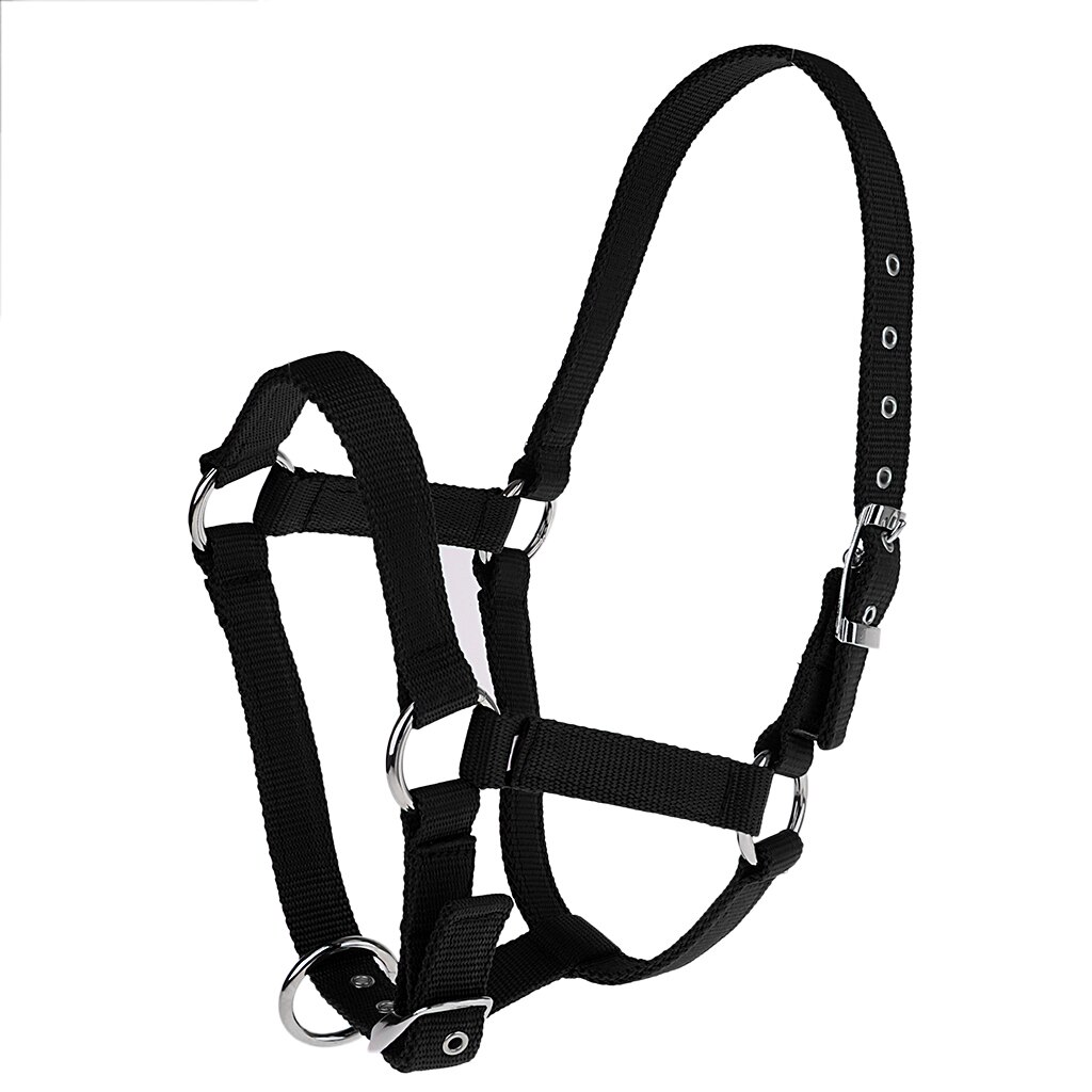 Adjustable Nylon Webbing Equestrian Western Horse Halter Horse Riding Wear: Black L