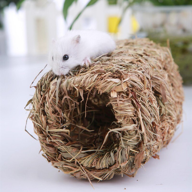 Paille armure Hamster Rat maison Cage petit Animal caché jeu aire de jeux Chinchilla cochons d'inde petit Animal jouet fournitures