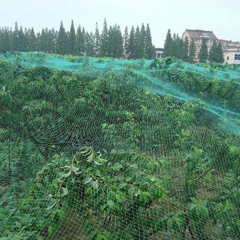 Red antiaves verde para jardín, malla duradera para proteger plantas y árboles frutales, evita que las aves, ciervos, aves de corral, el mejor cercado elástico