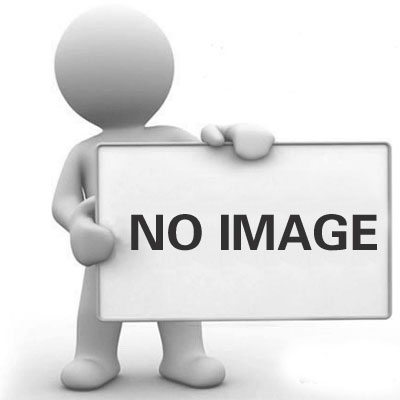 Rear Tailgate Assist Durable and Sturdy Damper General-Purpose for Ford Ranger T6