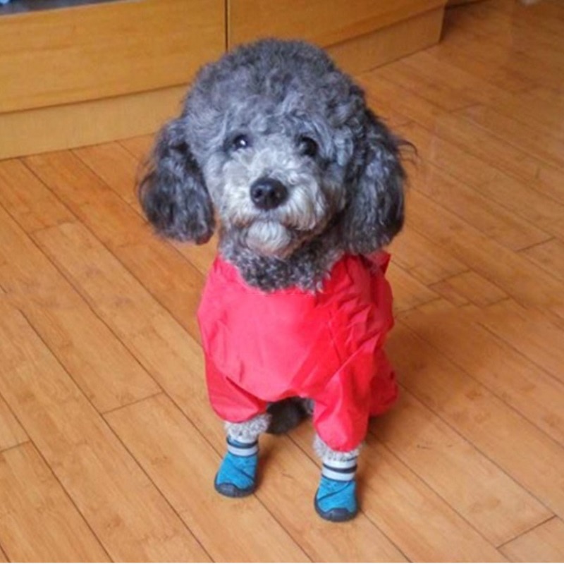 Chubasquero para perros pequeños todo incluido, ropa impermeable para perros cachorros, abrigo para exteriores, chaqueta de lluvia para perrito de Mascota, poncho de perro mediano