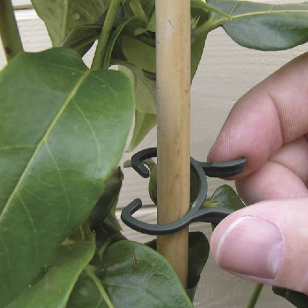 100pcs/set Butterfly Circle Fixings Garden Plant Ring Set Fixed Connection Flowers And Vegetables Agricultural Accessories