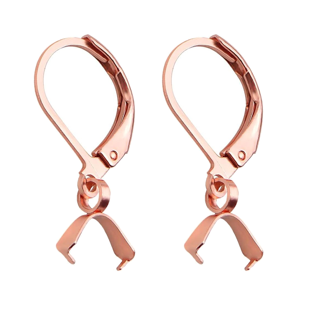 10/20pcs Stainless Steel French Earring Wires Fish Hook Pendant Clasp for DIY Jewelry Craft Making Supplies Accessories Handmade: S / Clear